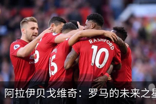 阿拉伊贝戈维奇：罗马的未来之星，意甲转会市场的焦点